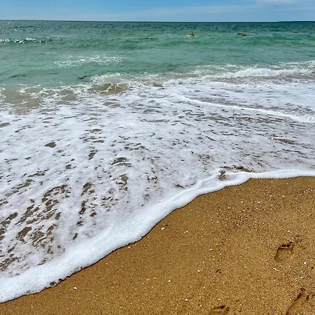 Les Jardins Prives 148 Le Clos Cottet 营地 Angles (Vendee)